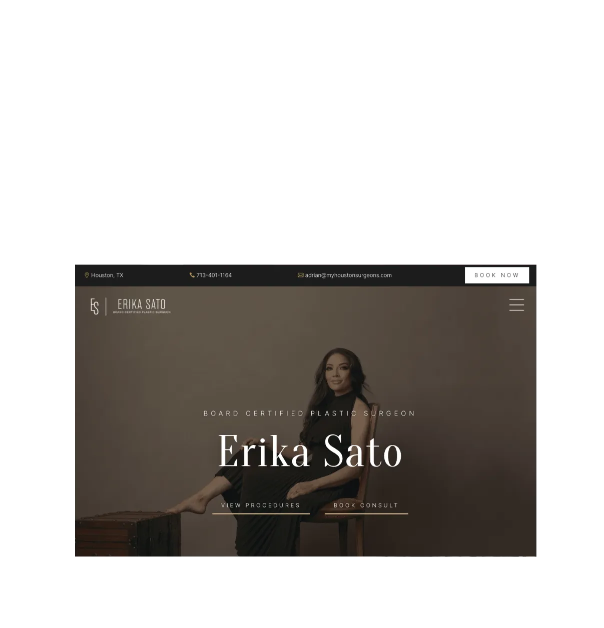 erika sato website screenshott