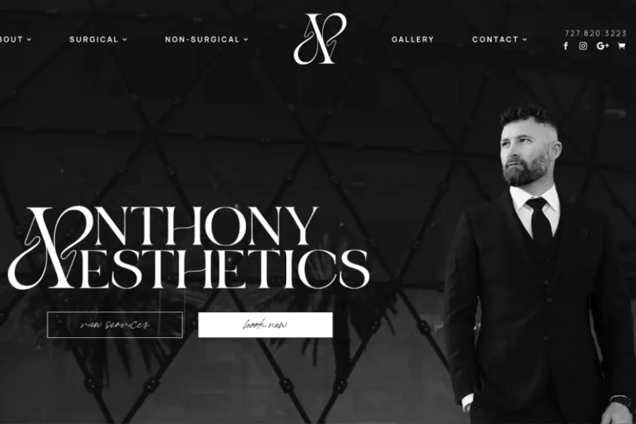 anthony aesthetics website